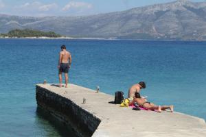 Apartments by the sea Lumbarda, Korcula - 4358