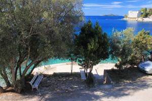 Apartments by the sea Brna, Korcula - 9231