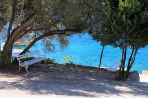 Apartments by the sea Brna, Korcula - 9231