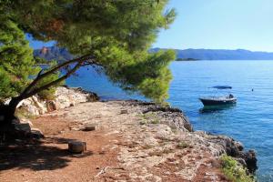 Apartments by the sea Lumbarda, Korcula - 9260