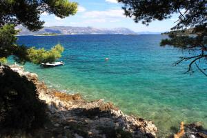 Apartments by the sea Lumbarda, Korcula - 9172