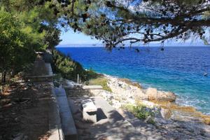 Apartments by the sea Prigradica, Korcula - 9140