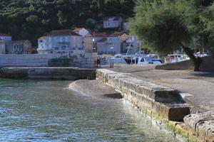 Apartments with a parking space Racisce, Korcula - 9170