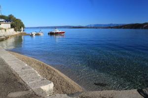 Apartments by the sea Racisce, Korcula - 9337