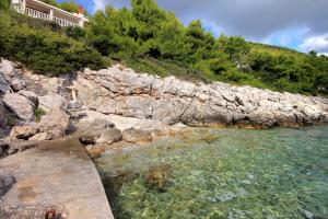 Apartments by the sea Prizba, Korcula - 9229