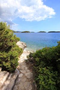Apartments by the sea Prizba, Korcula - 9229