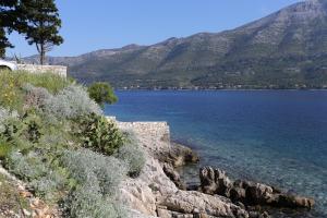 Apartments by the sea Korcula - 549