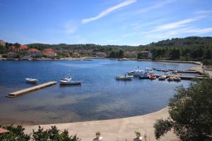 Apartments with a parking space Lumbarda, Korcula - 9329