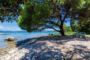 Apartment Drace 10211b