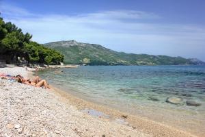 Apartments with a parking space Orebic, Peljesac - 10092