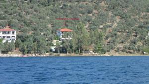 Violetta Studios & Apartments