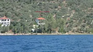 Violetta Studios & Apartments - Mikro