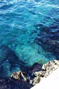 Apartments by the sea Zavalatica, Korcula - 185