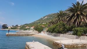 Apartments by the sea Viganj, Peljesac - 12564