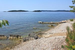 Apartments with a parking space Orebic, Peljesac - 13210