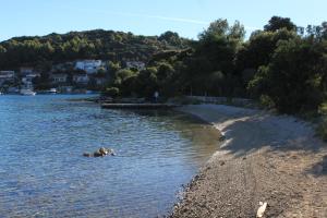 Apartments by the sea Zrnovska Banja, Korcula - 13636