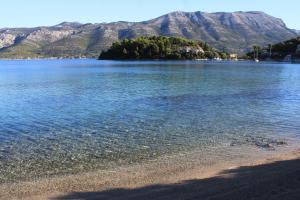 Apartments by the sea Zrnovska Banja, Korcula - 13636