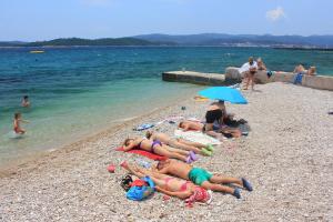 Seaside apartments with a swimming pool Orebic, Peljesac - 14644