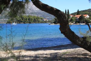 Family-friendly apartments with swimming pool Zrnovo, Korcula - 16116