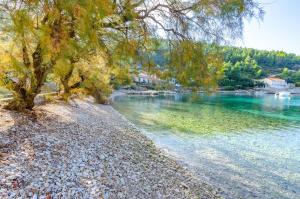 Secluded fishermans cottage Cove Babina, Korcula - 16193