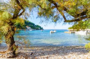 Secluded fishermans cottage Cove Babina, Korcula - 16193