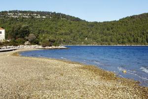 Apartments by the sea Polace, Mljet - 16296