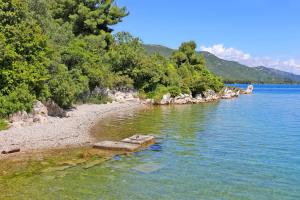 Apartments with a parking space Luka, Peljesac - 16229 