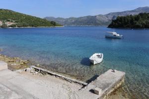 Apartments by the sea Zrnovska Banja, Korcula - 4363