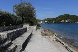 Apartments by the sea Zrnovska Banja, Korcula - 4363