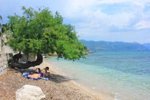 Apartments by the sea Orebic, Peljesac - 4496