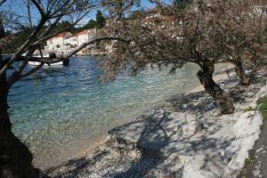 Apartments by the sea Racisce, Korcula - 4361