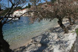Apartments by the sea Racisce Korcula 4362