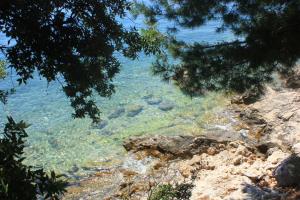 Apartments by the sea Kuciste - Perna, Peljesac - 4540