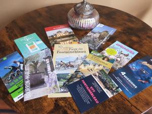 Appartements Le Bon'Aparte - Hypercentre de Fontainebleau : photos des chambres