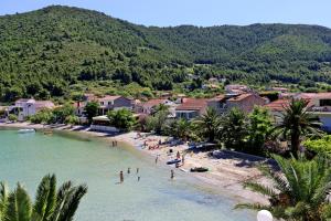 Apartments with a parking space Zuljana, Peljesac - 252