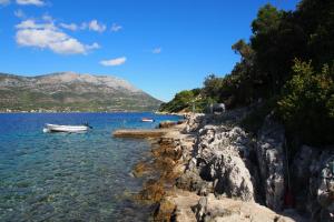 Seaside apartments with a swimming pool Tri Zala, Korcula - 558