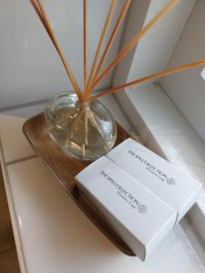 B&B Poort van Westerwolde privé appartement met terras op zuiden