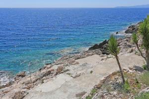 Apartments by the sea Dingac - Potocine, Peljesac - 4533