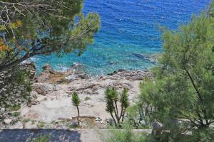 Apartments by the sea Dingac - Potocine, Peljesac - 4533