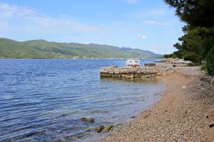 Apartments by the sea Viganj, Peljesac - 19391