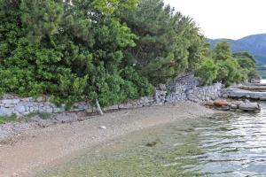 Apartments by the sea Viganj, Peljesac - 19391