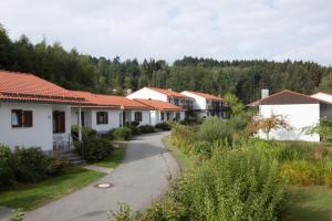 Ferienpark im schönen Falkenstein 4