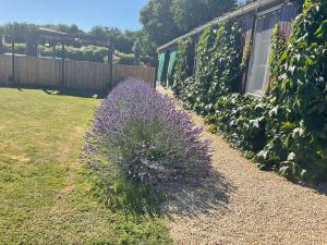 B&B / Chambres d'hotes Le Jardin de Rose 24 FEUILLEBERT Romagne 86700 : photos des chambres