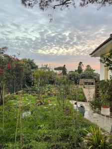 Maisons d'hotes Les Suites d'Agosta : photos des chambres