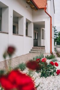 Kardamom Studio Apartman