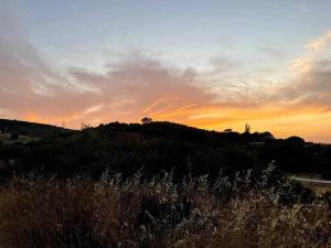 Casa Angeline Verde 3 By KubiK