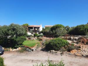 Villa Margherita vista mare img13