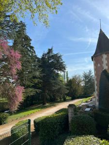 Maisons d'hotes Chateau des Basses Roches : photos des chambres