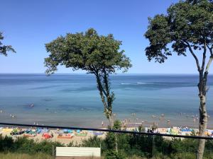Rewal Hevenia The Best View ever
