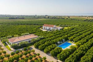 Quinta Dos Perfumes - Hoteles de 4 estrellas en Tavira